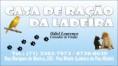 /album/animais-de-estima%c3%a7%c3%a3o1/sem-titulo-1-jpg1/